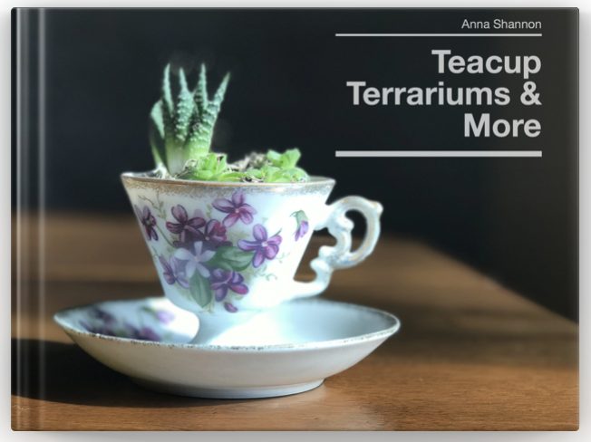 This is the cover of the book, it shows an old tea cup that has been turned into a terrarium